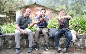 event